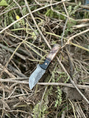 The Texan Knives Hunting Knife features a 9" Damascus steel blade and a sheep horn/resin handle, displayed open on dry branches and leaves outdoors. Includes a leather sheath.