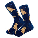 Golden Retriever dog socks with sweet golden face – great gift for dog lovers from DDR BBQ Supply
