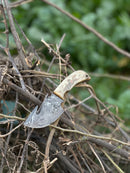 A Texan Knives Custom Handmade Damascus Steel Guthook Skinning Knife with a sheep horn handle and leather sheath lies among dry branches, with blurred green foliage in the background. 7.5” – perfect for hunting gifts.