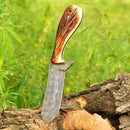 The Whisky Bent Knives – Custom Handmade Damascus Steel Blade by Texan Knives, featuring a polished camel bone handle, stands upright in a tree log amidst green foliage and blurred background vegetation.