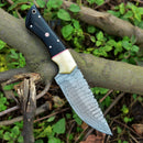 A Texan Knives Custom Handmade Skinning Knife with a Damascus steel blade and a buffalo horn & camel bone handle rests on a tree branch surrounded by green leaves.