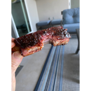 A hand holds a single BBQ rib seasoned with BuffalowBBQ Sassy Swine BBQ Rub, coated in a sweet and smoky glaze with a distinct smoke ring visible in the meat.