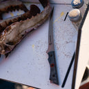 The Messermeister Iron & Resin Overland Chef 7″ Mid-Flex Fillet Knife, crafted from high-carbon stainless steel, rests on a white surface beside a large crab shell, seasonings, and scattered spices, evoking the preparation of seafood.
