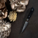 A selection of oyster mushrooms and the Messermeister Avanta Damascus Starter Set - 3 Piece are arranged on a dark textured surface.