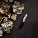 A variety of fresh mushrooms are displayed on a dark surface beside a Messermeister Kawashima Paring Knife - 3.5" with a dark handle, positioned toward the right side of the image.