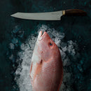 A whole raw fish rests on ice with the Messermeister Kawashima Slicer - 10", expertly crafted from SG2 powdered steel, set above it on a dark, textured surface.