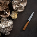 Assorted oyster mushrooms and a small knife from the Messermeister Oliva Elite 11-Piece Next Level Knife Block Set are arranged on a dark surface.
