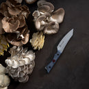 A variety of oyster mushrooms are arranged on a dark surface next to the Messermeister Iron & Resin Overland Chef 4.5″ Utility Knife—perfect for camp cooking.