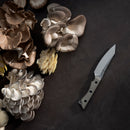 A group of assorted oyster mushrooms rests on a dark surface beside a sharp, modern Messermeister knife with a textured handle—ideal for outdoor cooking and conveniently stored in the Messermeister Overland Chef 6-Piece Leather Knife Roll Set.