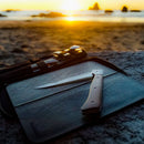The Messermeister Adventure Chef Folding Faux Wood Cutting Board sits atop a rock at the beach, alongside a folding knife, as the sun sets over the ocean—a perfect setting for any camp kitchen adventure.