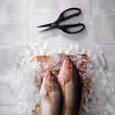 Two whole fish with pink and yellow scales lie on ice atop brown paper, placed on white tiles. Above them are Messermeister Esther Choi Push Button Take-Apart Precision Shears - 7".