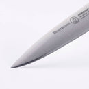 Close-up of the pointed tip of a Messermeister Meridian Elite Chef knife from the 2-piece Chef and Parer Set, made of German stainless steel with the Messermeister brand engraved on the blade, against a white background.