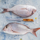 Two whole raw fish with silvery scales and pink fins lay on ice, with a Messermeister Oliva Elite Flexible Boning Knife - 6" placed between them. Ice cubes are scattered around, highlighting the knife from Messermeister.