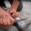 A person uses a knife to fillet a fish on a concrete surface, focusing on their hands and the fish’s tail, with their outdoor cooking knives neatly organized in the nearby Messermeister Overland Chef 6-Piece Leather Knife Roll Set.