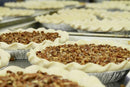 Several unbaked Millican Pecan Delicious Texas Southern Pecan Pies (9 Inch) with crimped crusts are arranged on a metal surface, ready for baking. Each pie is in an aluminum pan and topped with chopped pecans from Millican Pecan.