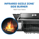 Napoleon Rogue PRO 625 black gas grill with infrared side burner available in propane or natural gas at DDR BBQ Supply