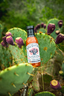 A bottle of Brushfire Farms Prickly Pear BBQ Sauce from Brushfire Farms is perched on a green prickly pear cactus with purple fruit in an outdoor setting.