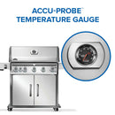 Rogue PRO 625 SIB stainless steel propane grill with infrared side burner at DDR BBQ Supply view of thermometer