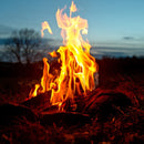 A bright orange campfire glows at dusk, ringed by grass and logs, with silhouetted trees behind—evoking the rich aroma of SALTOPIA Infused Sea Salts' Applewood Smoked Salt: GREAT OUTDOORS.