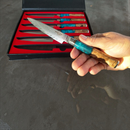 A hand holds a BBQ Blades™ steak knife with a patterned blade and blue/wood-toned handle; in the background, an open case displays five premium BBQ Boards® steak knives arranged in red foam.