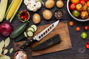 Shop Dalstrong Gladiator Series Vegetable Chef Knife 8 inch from DDR BBQ Supply