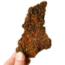 A hand holds a large, irregular piece of Elijah’s Xtreme Beef Jerky Bulk Trio against a white background. The dark brown jerky, with visible spices and rough texture, highlights the quality found in Elijah's Xtreme 3 Flavors pack.