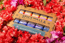 Shop Spicewalla Made with Love in Asheville 10 Pack Collection from DDR BBQ Supply