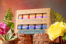 Shop Spicewalla Made with Love in Asheville 10 Pack Collection from DDR BBQ Supply