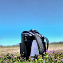 The Taiga Grey Back Pack Cooler by Taiga Coolers rests among purple wildflowers, set against a blurred grassy field and a clear blue sky.