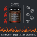 A jar of Harmacy Hot Sauce Co. Totec's Teeth Extra Hot Pasilla & Plum Sauce 9oz sits amid flames, food icons, and the text: Your new go-to sauce—Totec’s Teeth goes on everything. The dark backdrop is bordered by illustrated fire.