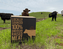 A Dude Food Dude Meat Box from Dude Food sits on grass in a field with cows and a cloudy sky in the background, ready to be filled with Kansas City Strip Steaks or tender Boneless Skinless Chicken Breasts.