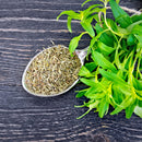 A spoon filled with The Spice Lab Savory Whole Leaf 1 lb, a premium selection from The Spice Lab’s foodservice herb collection, sits beside a bunch of fresh tarragon leaves, all elegantly arranged on a dark wooden surface.