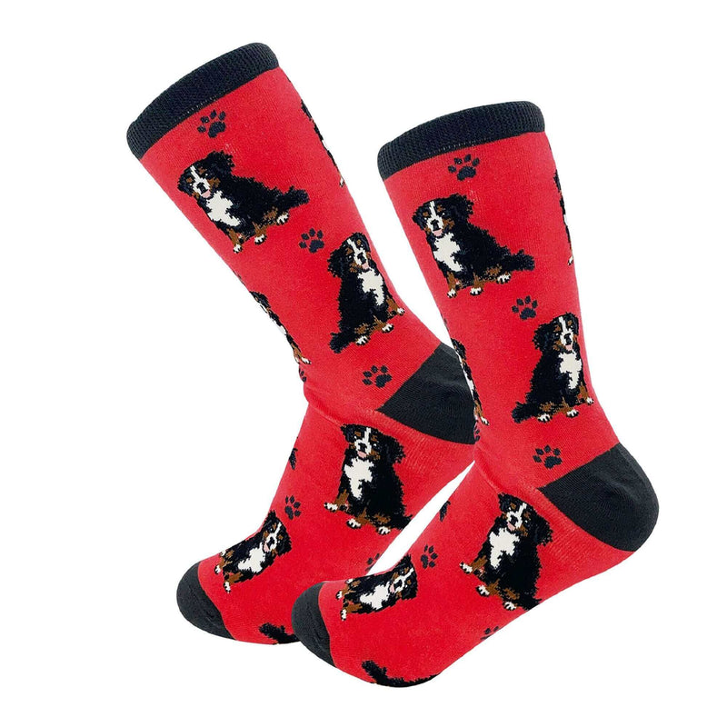 Bernese Mountain Dog Socks E & S Pets/Faire