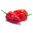 A jar of The Spice Lab Ghost Pepper Powder is shown against a white background. Manufactured by The Spice Lab, this product features intensely hot ghost peppers, known for their wrinkled texture and vibrant red color.