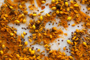 World Spice Continental Curry by World Spice features a blend of assorted whole and ground Indian spices—including coriander seeds, mustard seeds, fennel seeds, and turmeric powder—scattered on a white surface and ideal for creating your own customizable curry or versatile curry mix.