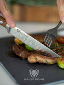 Dalstrong Gladiator 5 inch steak knife set with German steel blades and durable  wood handles. In box that easily makes great gift. Shown in use. 