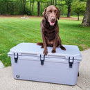 Gray 125-quart cooler by Bison, with black latches and sitting on a concrete patio with a brown dog on top.