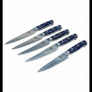 DDR BBQ Supply Spaceman Knives Interstellar steak knife set with Damascus blades and blue textured handles