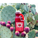 DDR BBQ Supply Brushfire Farms 40oz bulk prickly pear simple syrup bottle set against a vibrant green cactus background