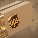 A cardboard box with the DDR BBQ Supply logo speeds across a blurred brown background, highlighting Expedited Shipping for fast delivery.