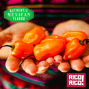 Hands holding bright orange habanero peppers, with "Authentic Mexican Flavor" text at the top left and the Rico Rico logo at the bottom right. A colorful patterned background sets the scene, highlighting the vibrant heat of Rico Rico Habanero Chile Powder Shaker—a bold and fiery hot spice perfect for any authentic Mexican dish.