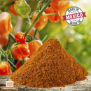 A vibrant heap of Rico Rico Habanero Chile Powder Shaker is displayed before fresh orange habanero peppers on the vine, capturing the bold heat of this Mexican spice from Rico Rico. A "Made in Mexico" stamp appears in the background.
