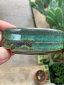 A hand holds The Immaculate Beard’s Shave Bowl—a small, round, green ceramic piece with handmade, dark earthy streaks. In the softly blurred background, potted plants and cacti create an ideal setting for whipping up a moisturizing lather with your favorite shave soap puck.