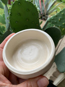 A hand holds The Immaculate Beard Shave Bowl, a small, round handmade bowl filled with creamy white moisturizing lather. In the background, a green prickly pear cactus with broad, flat pads is visible.