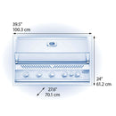 Napoleon Built-In 700 Series 38 BIG38 gas grill with infrared rear burner and rotisserie at DDR BBQ Supply