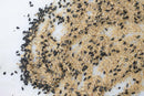 World Spice Nigella Caesar by World Spice, with its black nigella seeds and tan ground spices, is scattered across a white surface, forming a textured and uneven pattern. Hints of Worcestershire powder add subtle depth to the arrangement.