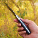 A hand holds the Texan Knives Custom Handmade Damascus Steel Skinning Blade (4.5") with a patterned blade and decorative handle, set against a blurred green-yellow background—ideal for outdoor enthusiasts.