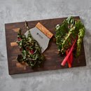 A Steelport Knife Co. Bench Scraper by Steelport Knife Co. rests on a gray countertop beside chopped Swiss chard on the left and whole Swiss chard leaves with vibrant stems on the right.