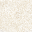 Shop Texas Salt Co Fleur De Sel French Salt from DDR BBQ Supply