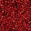 A close-up of Texas Salt Co. Pink Peppercorns from Texas Salt Co, showcasing their vibrant red color and slightly wrinkled texture, densely packed together to fill the frame.